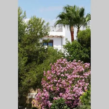 Ca Buganvilla. El Corazon De La Huerta Valenciana Casa vacanze *